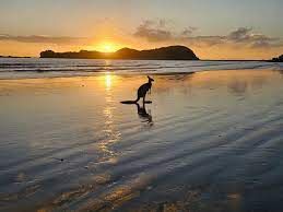 Mackay Things To Do 1