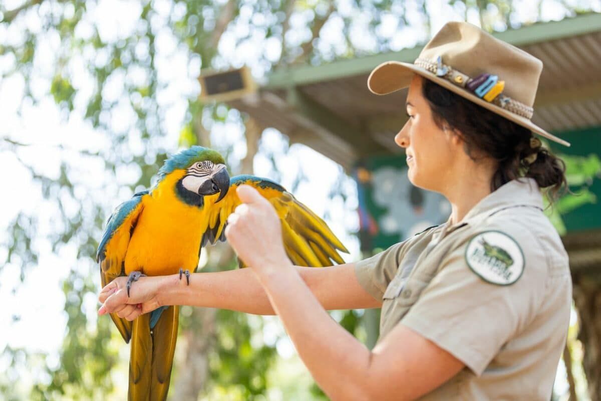 Townsville Things To Do 1